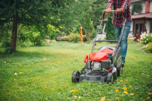 Lawn Mowing Service Lawn Mowing Service
