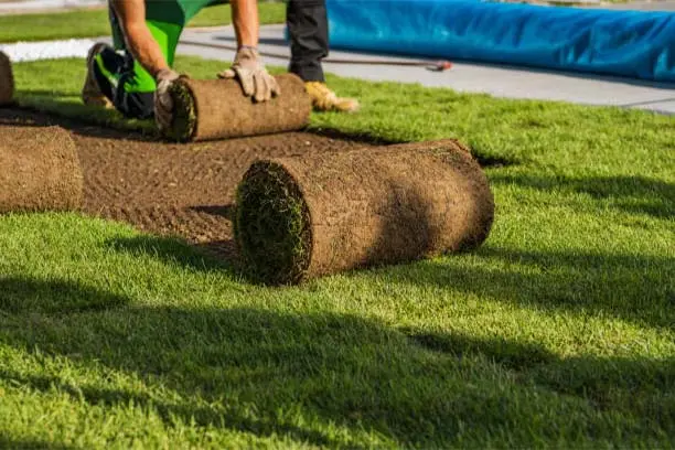 Sod Installation Sod Installation