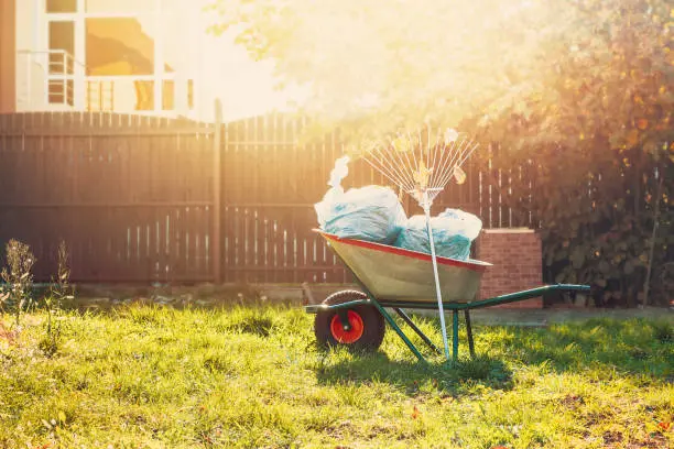 Yard Cleaning Services Yard Cleaning Services