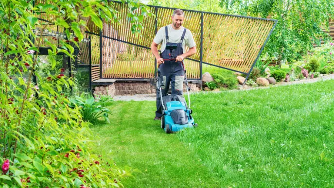 Benefits Of Professional Lawn Mowing Service For Your Yard Acworth GA