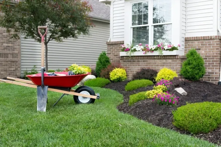Common Yard Cleaning Mistakes To Avoid For A Neater Garden Acworth GA