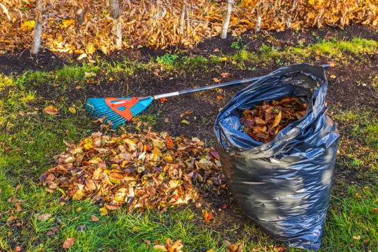 Common Yard Cleaning Mistakes To Avoid For A Neater Garden in Acworth GA
