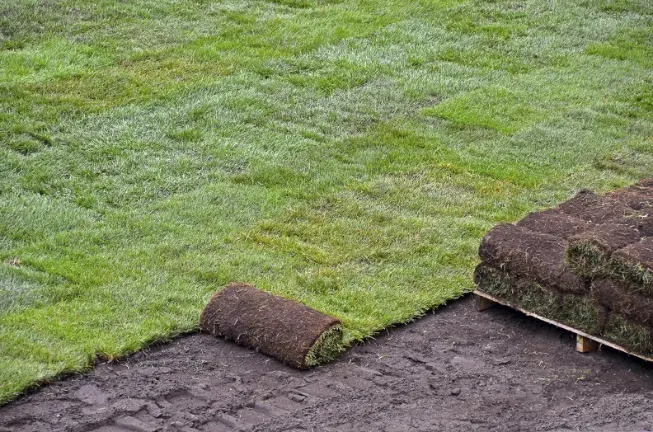 Expert Sod Installation Acworth GA