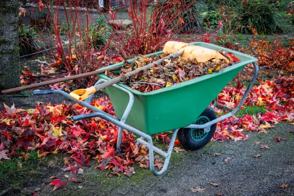 How Professional Yard Cleaning Boosts Property Value Acworth GA