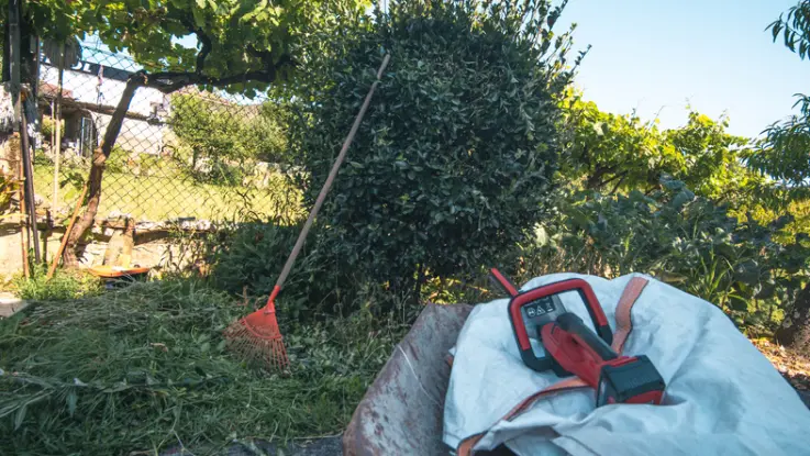 How Professional Yard Cleaning Boosts Property Value in Acworth GA