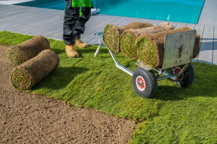 How Sod Installation Enhances Your Lawns Curb Appeal Acworth GA