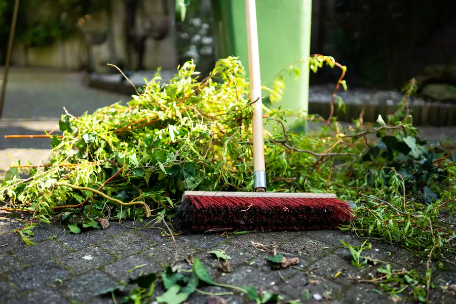Premium Yard Cleaning Services Acworth GA