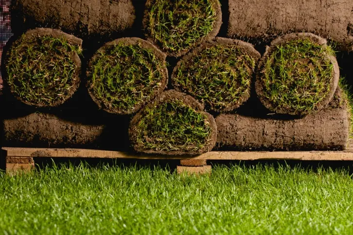 Reliable Sod Installation Acworth GA