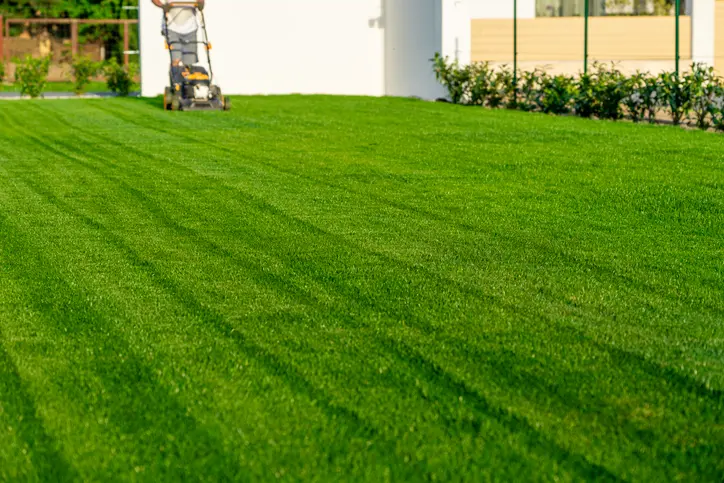 Superior Lawn Mowing Service Acworth GA