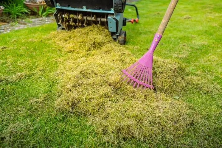 Top-rated Yard Cleaning Services Acworth GA
