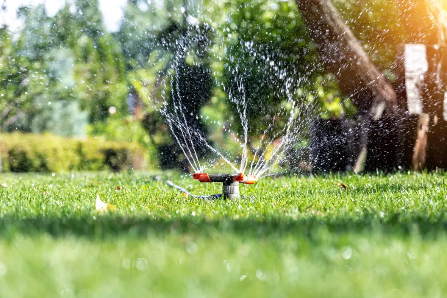 Irrigation Services