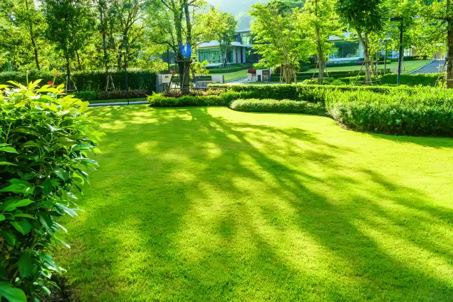 Oakwood Landscape and Design's Other Services
