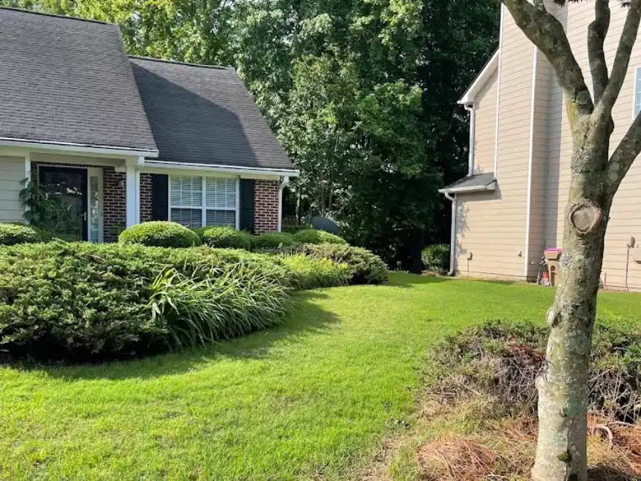 Professional Landscape Company in Flowery Branch, GA