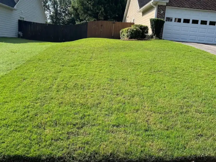 Top-notch Landscaper