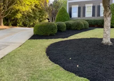 Dependable Landscaper
