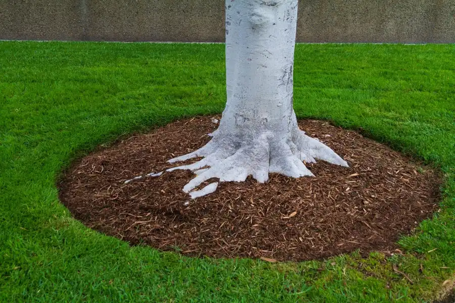 Dependable Mulching in Flowery Branch, GA