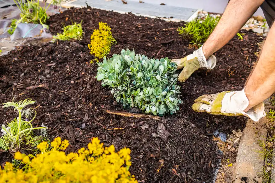 Expert Mulching in Flowery Branch, GA