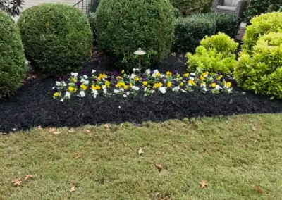 Landscape Company