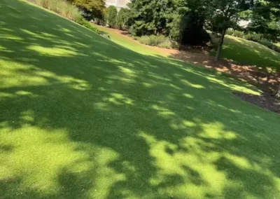 Landscaper