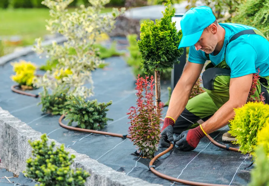 Outstanding Irrigation Services in Flowery Branch, GA