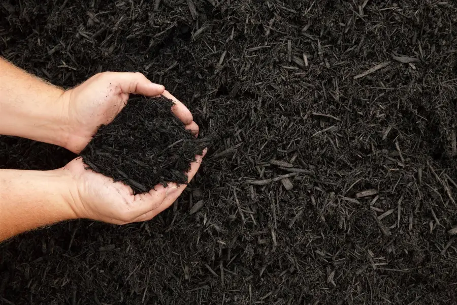 Professional Mulching in Flowery Branch, GA