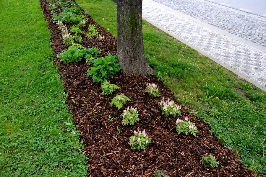 Tips for Applying Mulch to Maximize Landscape Longevity Flowery Branch, GA